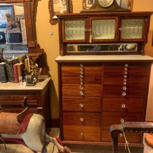 A horse is sitting in front of a dresser.