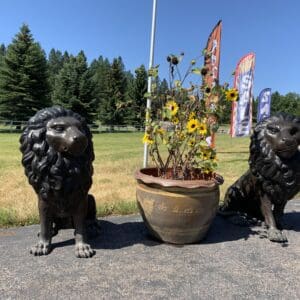 Two lions standing next to a flower pot.