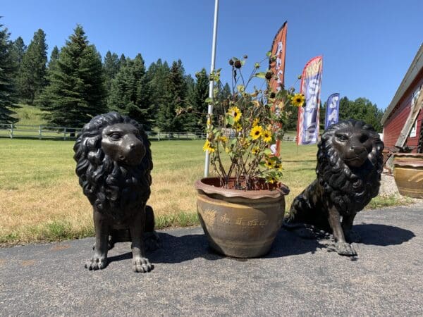 Two lions standing next to a flower pot.